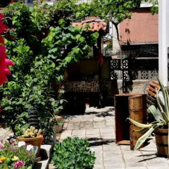 Отель Art Studios Elsor Болгария, Бургас - отзывы, цены и фото номеров - забронировать отель Art Studios Elsor онлайн фото 6