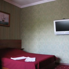 Novozhenovsky Hotel удобства в номере