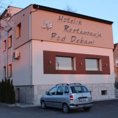 Отель Hotelik pod Dębami Польша, Вроцлав - отзывы, цены и фото номеров - забронировать отель Hotelik pod Dębami онлайн парковка