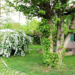 Отель Il Casale sul Sile фото 5