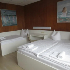 Central-Hotel Tegel 2* Стандартный номер с различными типами кроватей фото 5