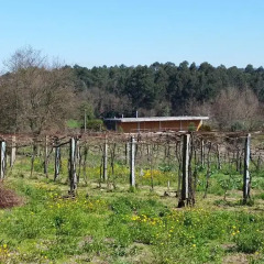 Отель Quinta de Sendim