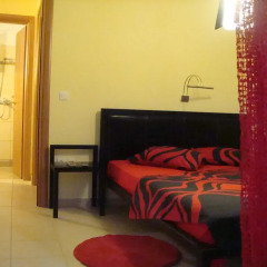 Hotel Petunia комната для гостей фото 2