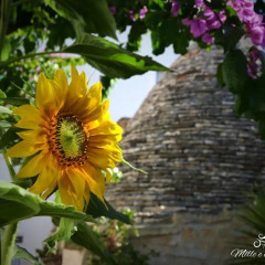 Отель Trulli Mille e una Notte Альберобелло фото 4