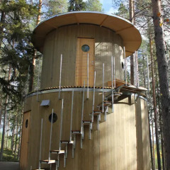 Tree Hotel фитнесс-зал