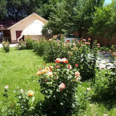 Отель Boorsok Hostel Bishkek Кыргызстан, Бишкек - отзывы, цены и фото номеров - забронировать отель Boorsok Hostel Bishkek онлайн фото 4