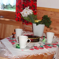 Отель Camping Harenda Pokoje Gościnne i Domki Закопане в номере