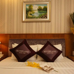 Silverland Hotel & Spa 3* Номер Делюкс с различными типами кроватей фото 4
