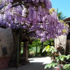 Отель La Casetta del Glicine Сан-Джиустино фото 8