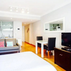 Отель Exclusivo Departamento En Park Plaza Recoleta комната для гостей фото 3