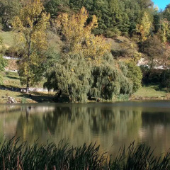 Отель The Lake Villa 3* Вилла с разными типами кроватей фото 23
