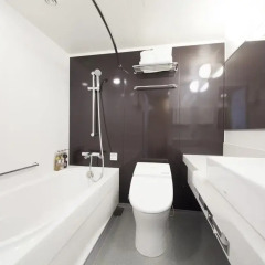 Richmond Hotel Tokyo Suidobashi 3* Стандартный номер с различными типами кроватей фото 4