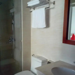Maple Leaf Hotel & Apartment 4* Номер Делюкс фото 4
