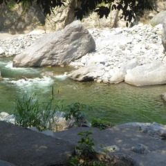 Отель La Moskitia Ecoaventuras бассейн фото 2