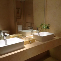Lia Charlton Hotel Shenzhen 4* Номер Делюкс с различными типами кроватей фото 3