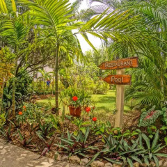 Отель Bourbon Beach Jamaica фото 6