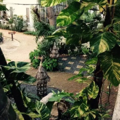 Отель Sunshine Beach Resort фото 10