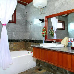 Lotus Hoi An Boutique Hotel & Spa 4* Номер Делюкс фото 3