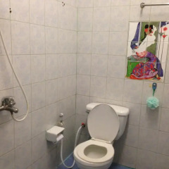 Отель Vech Guesthouse ванная фото 2