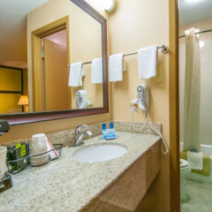 Отель Best Western Vicksburg Inn 2* Стандартный номер с различными типами кроватей фото 11