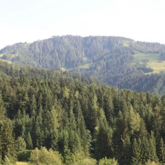 Отель Haus Elfriede Exenberger фото 3