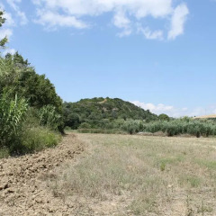 Отель Agriturismo La Collinetta Нова-Сири фото 3