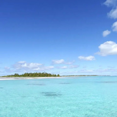 Отель Fafarua Ile Privée Private Island Французская Полинезия, Тикехау - отзывы, цены и фото номеров - забронировать отель Fafarua Ile Privée Private Island онлайн пляж фото 2