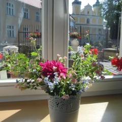 Отель Hill Inn 3* Стандартный номер