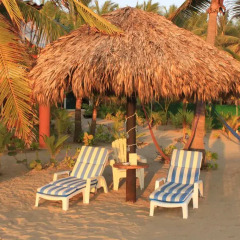 Отель Bungalows Tree Tops Мексика, Коакоюл - отзывы, цены и фото номеров - забронировать отель Bungalows Tree Tops онлайн