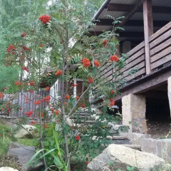 Гостиница Chalet with Fireplace for Family Vacation балкон