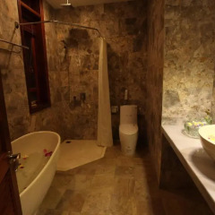 Отель Hoi An River Palm Villas 3* Улучшенная вилла с различными типами кроватей фото 10