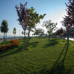 Juliet Rooms & Kitchen 3* Кровать в женском общем номере с двухъярусной кроватью фото 4