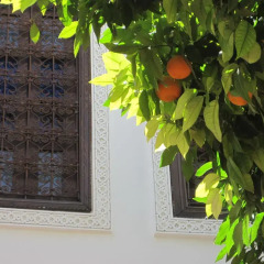 Отель Riad Dar Nouba Марокко, Марракеш - отзывы, цены и фото номеров - забронировать отель Riad Dar Nouba онлайн фото 3