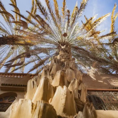 Отель Riad Soleil du Monde Марокко, Загора - отзывы, цены и фото номеров - забронировать отель Riad Soleil du Monde онлайн фото 3