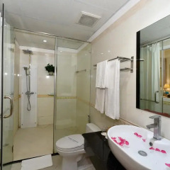 Golden Palace Hotel 3* Стандартный номер с различными типами кроватей фото 24