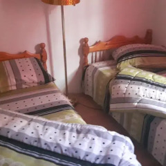 Hostel Alex Стандартный номер с 2 отдельными кроватями (общая ванная комната) фото 4