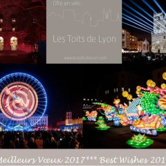 Отель Les Toits de Lyon Франция, Лион - отзывы, цены и фото номеров - забронировать отель Les Toits de Lyon онлайн развлечения