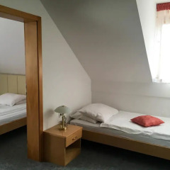 Отель Guesthouse Aleš 3* Стандартный номер с различными типами кроватей фото 2