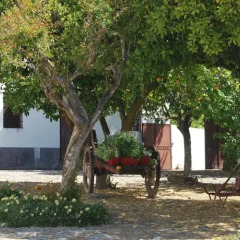 Отель Quinta De Tourais Португалия, Ламего - отзывы, цены и фото номеров - забронировать отель Quinta De Tourais онлайн фото 10
