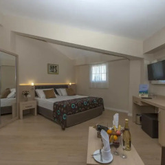 Hotel Asdem Park - All Inclusive 4* Стандартный номер с двуспальной кроватью фото 5