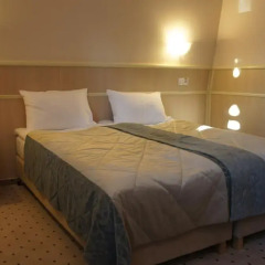 Hotel Dom Lesnika 3* Стандартный номер разные типы кроватей