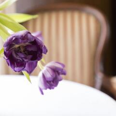 Hotel Castel Rundegg Меран в номере фото 2