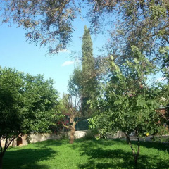 Отель Villa Verde Аренелла фото 3