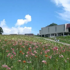 Отель Villa Komakusa Хакуба фото 3
