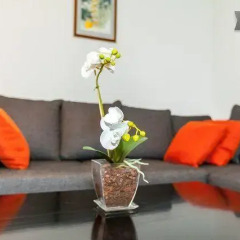Апартаменты Apartment White Orchidea комната для гостей фото 4