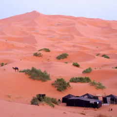 Отель Desert Berber Fire-Camp Марокко, Мерзуга - отзывы, цены и фото номеров - забронировать отель Desert Berber Fire-Camp онлайн приотельная территория