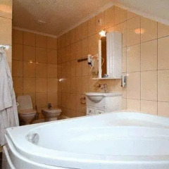 Гостиница Гестия 3* Студия с различными типами кроватей фото 9