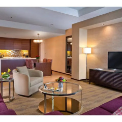 Отель Swissotel Living Al Ghurair Dubai интерьер отеля фото 2