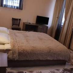 Отель Club House Artemida Болгария, Правец - отзывы, цены и фото номеров - забронировать отель Club House Artemida онлайн комната для гостей фото 3