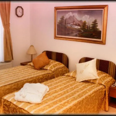 Hotel Vila Tina 3* Стандартный номер с двуспальной кроватью фото 15